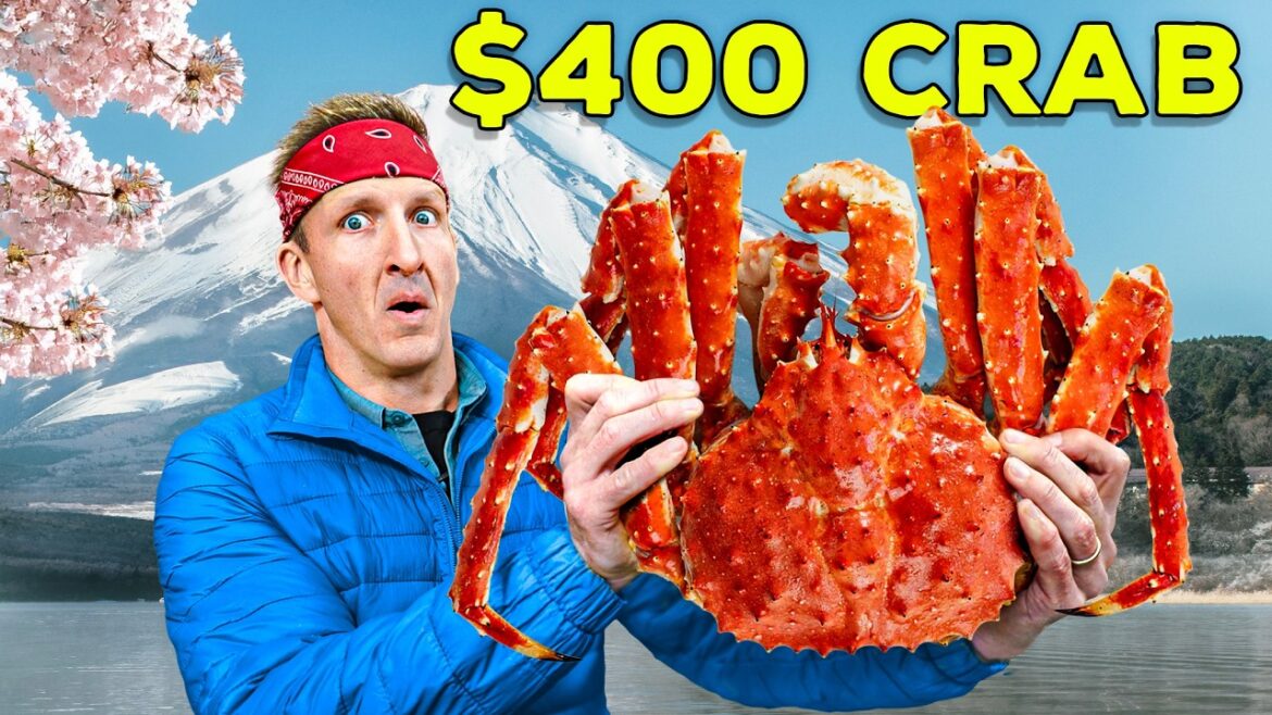 Japan's $30 Crab vs $400 Crab!! (Rare Seafood Species)