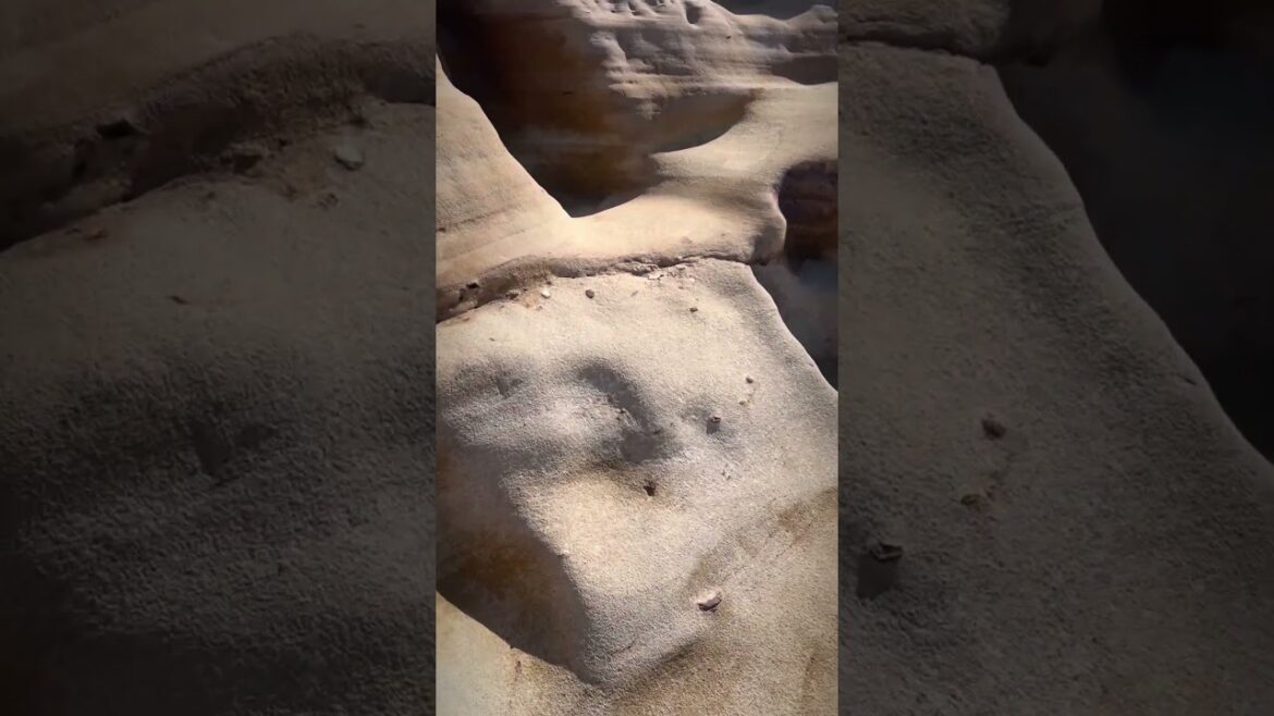 Shirahama in Wakayama  Japan 1