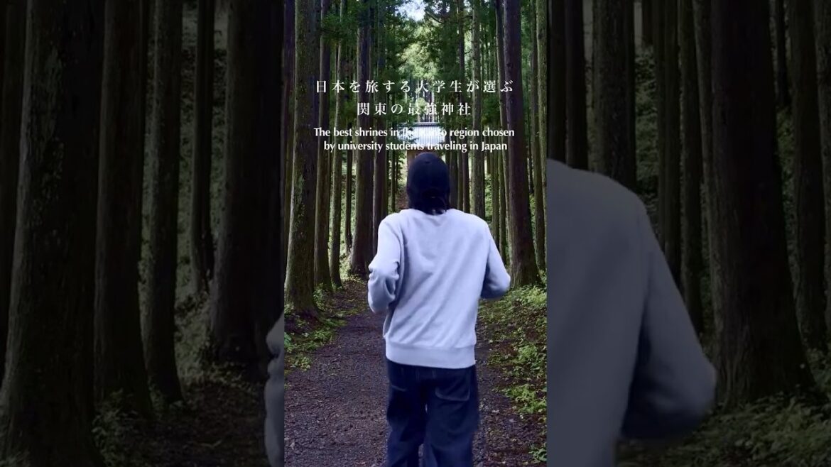 日本を旅する大学生が選ぶ関東最強神社4選! The 4 best shrines in Kanto chosen by a university student traveling in Japan!
