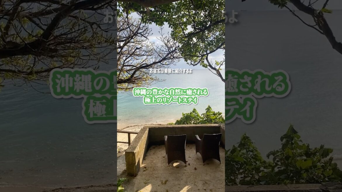 【一度は泊まりたい】全室オーシャンビューの極上リゾート🏝️#沖縄 #okinawa