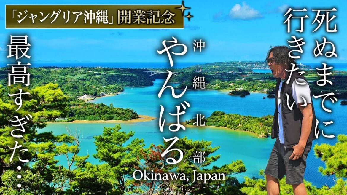 【教えたくない】沖縄北部・やんばる旅行のおすすめ絶景・グルメがすごすぎた【ジャングリア沖縄・沖縄観光ガイド・絶景スポット・穴場ビーチ・定番から穴場スポットまとめ・世界遺産・観光・国頭村】 【教えたくない】沖縄北部・やんばる旅行のおすすめ絶景・グルメがすごすぎた【ジャングリア沖縄・沖縄観光ガイド・絶景スポット・穴場ビーチ・定番から穴場スポットまとめ・世界遺産・観光・国頭村】