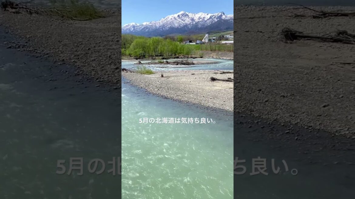 5月の北海道は気持ち良い🌱 #shorts #北海道 #富良野 #自然 #ひとり旅 #5月 #travel #旅行 #絶景 #japan