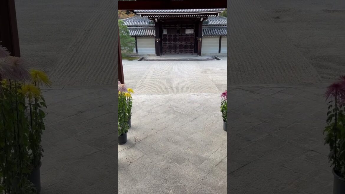 【KYOTO】 Must-See Hidden Gems - Sennyuji Temple