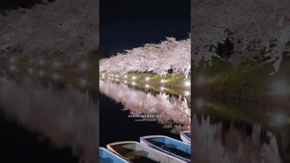 Siap – Siap Jatuh Cinta Sama Jepang! Taman Hirosaki di Aomori🌸#jntoid #visitjapan #Spring Siap - Siap Jatuh Cinta Sama Jepang! Taman Hirosaki di Aomori🌸#jntoid #visitjapan #Spring