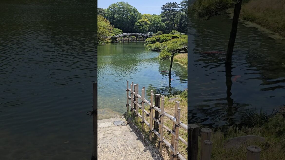 다카마쓰 리츠린 가든 남호| Ritsurin Garden Nanko| 栗林公園 南湖