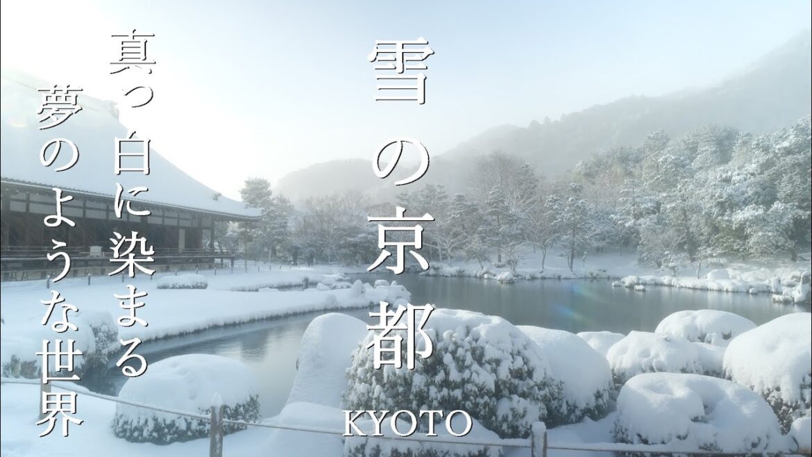 夜明けの嵐山　吹雪いても幻想的 大雪の京都 2025  Kyoto Snow