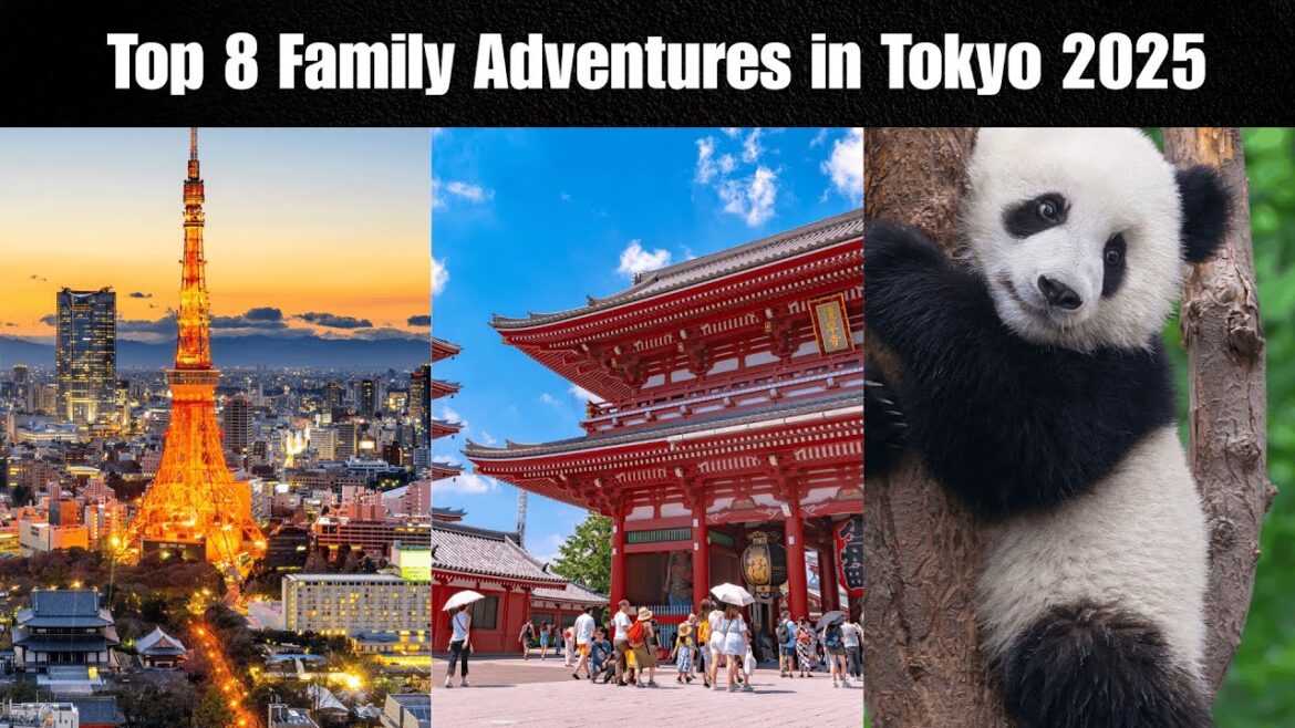 8 Family Adventures in Tokyo 2025! 8 Family Adventures in Tokyo 2025!