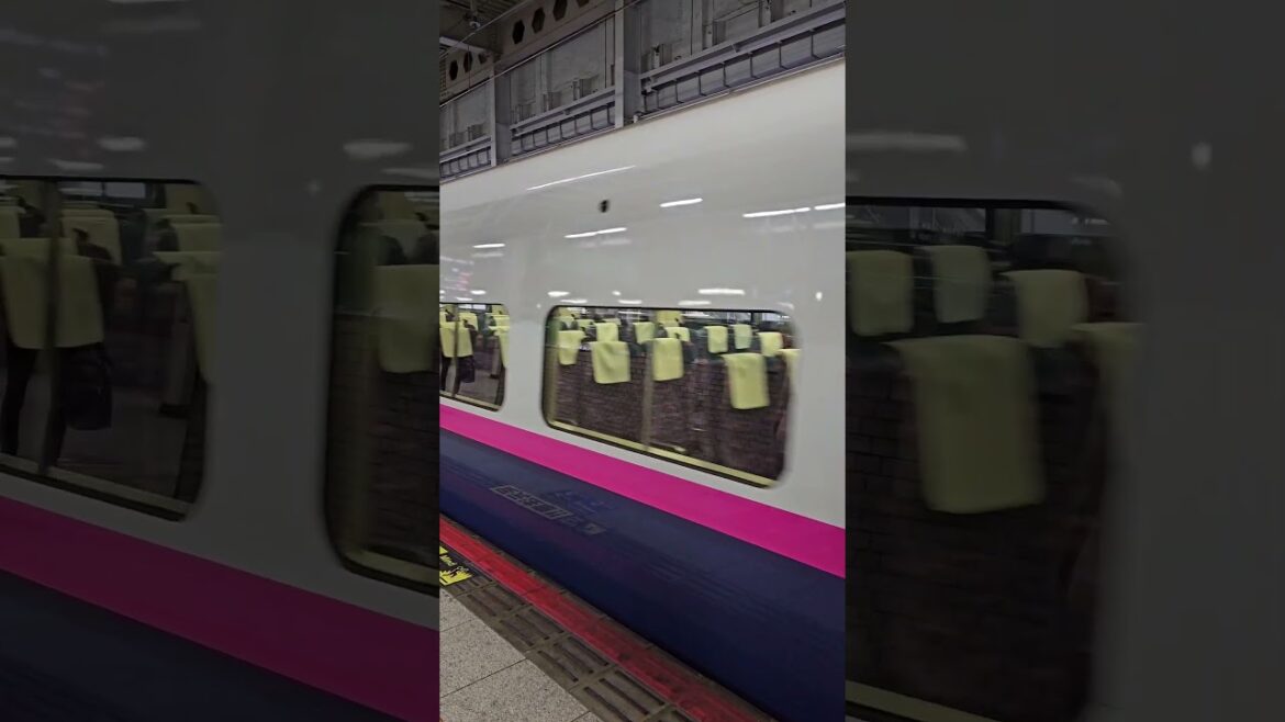 #japan #sendai #fukuyama #sakura