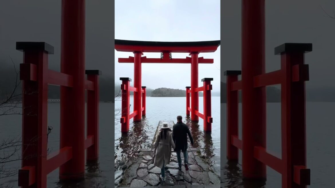 π―π΅ Walk through Torii in Hakone π―π΅ Walk through Torii in Hakone