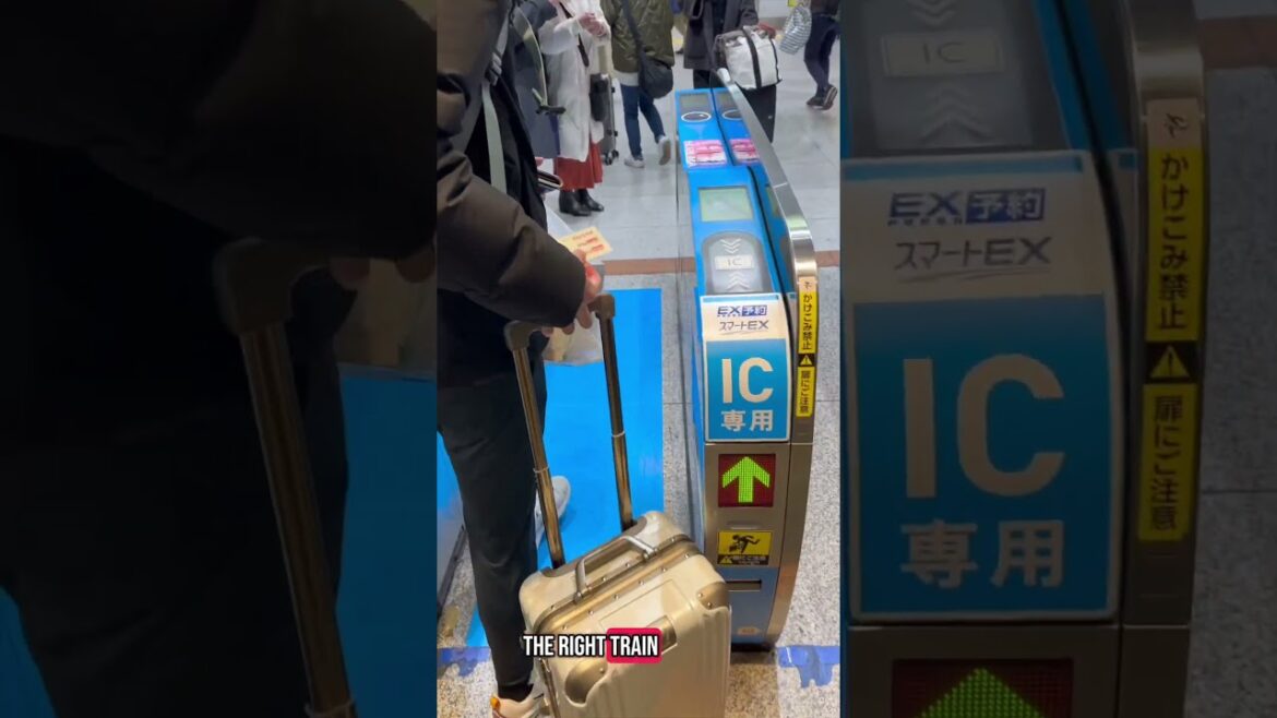 5 Things I wish I knew before going to Japan. #Japan #japantravel