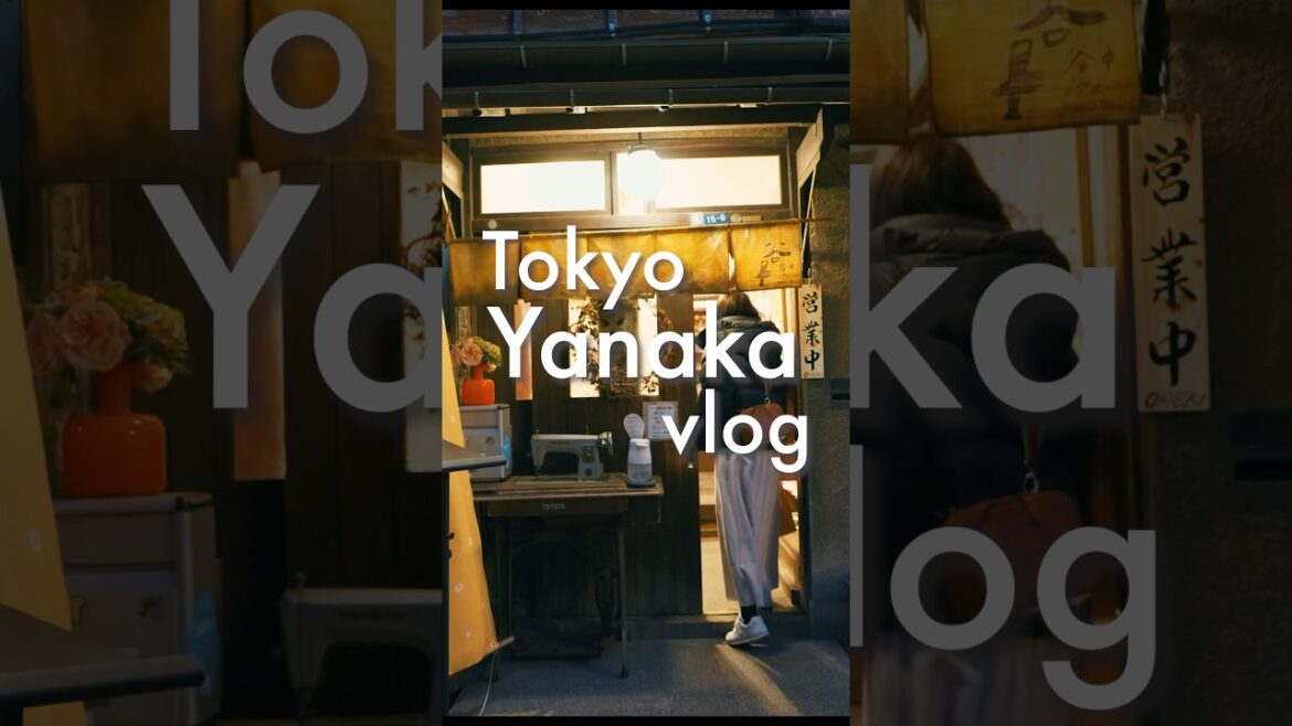 Best Japanese Street Food & Craft Beer Stroll!Yanaka Ginza Tokyo