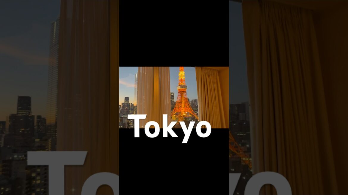 🇯🇵 도쿄타워를 눈앞에서 마주하는 특별한 스테이   / Tokyo Tower Hotel 🇯🇵
