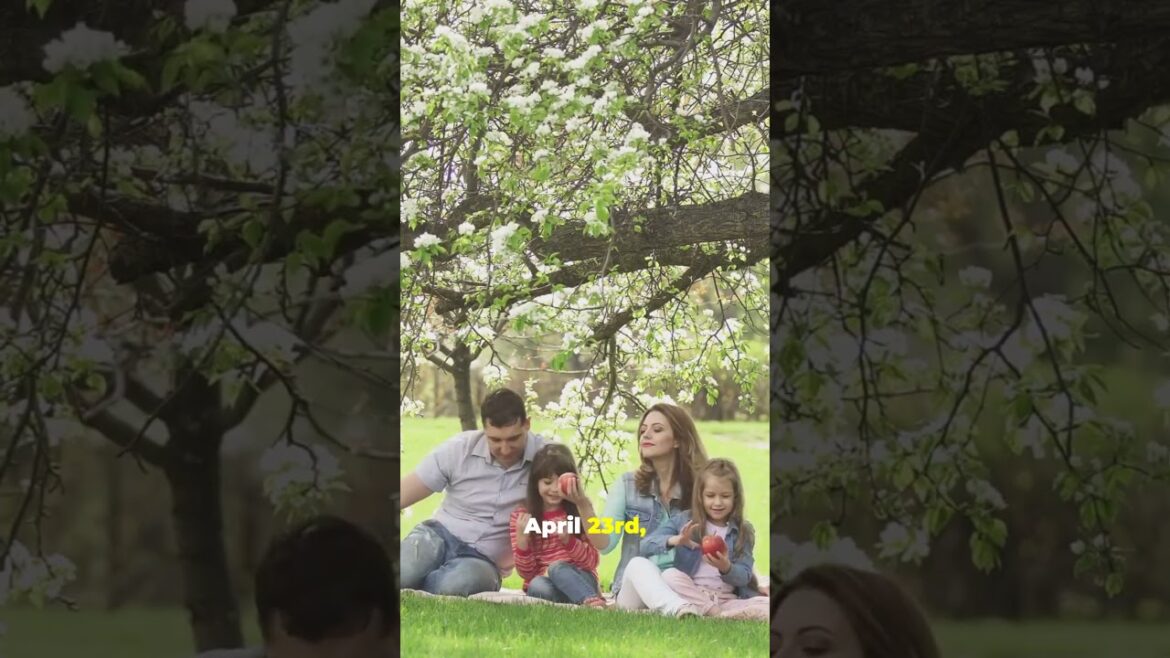 Experience AKITA’s Most MAGICAL Cherry Blossom Locations! Experience AKITA's Most MAGICAL Cherry Blossom Locations!