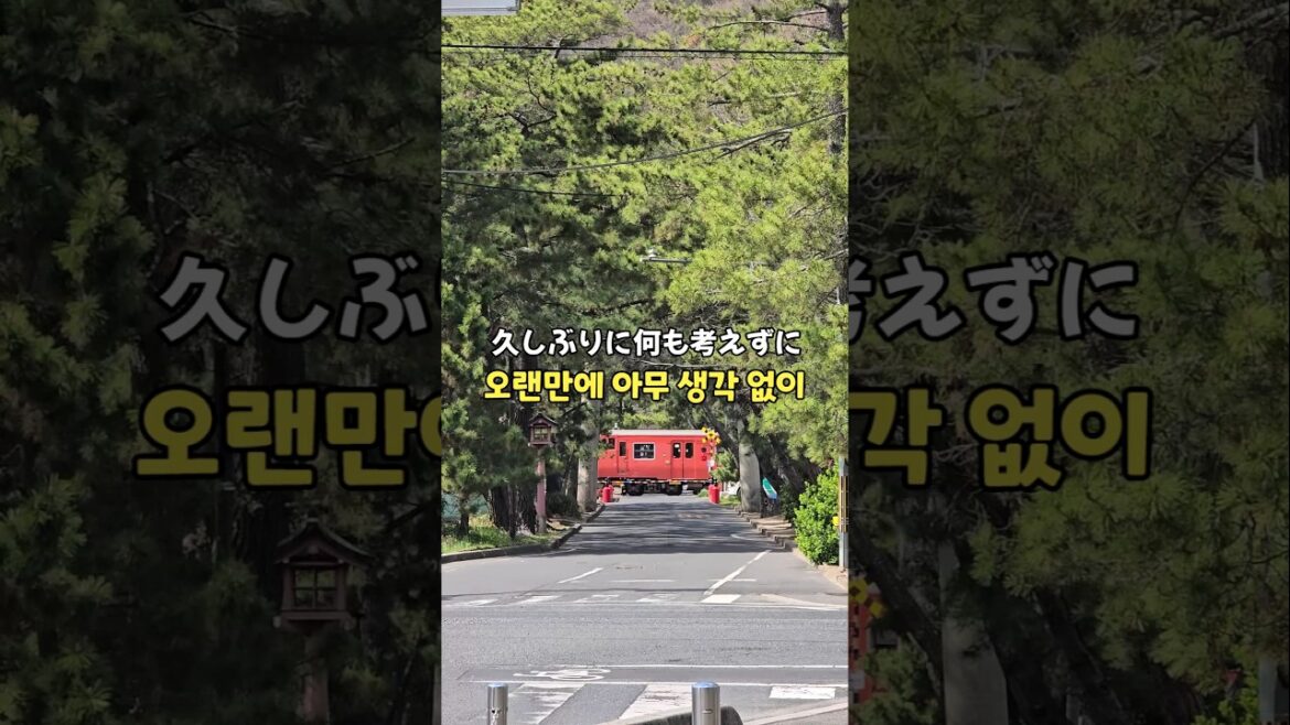 엄마가 1등으로 좋아한 장소입니다 엄마가 1등으로 좋아한 장소입니다