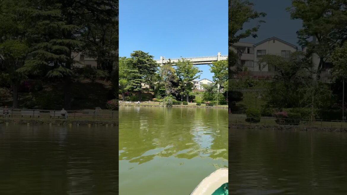 Golden Week Holidays and a Full of Fun Boating Experience at Chiba Park. #japan #tokyo #chiba #park