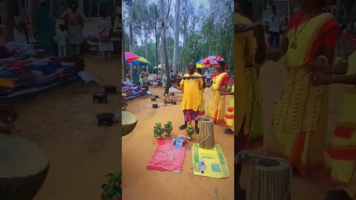 Shantiniketan #shorts #ytshorts #trending #love #viralvideo #travel