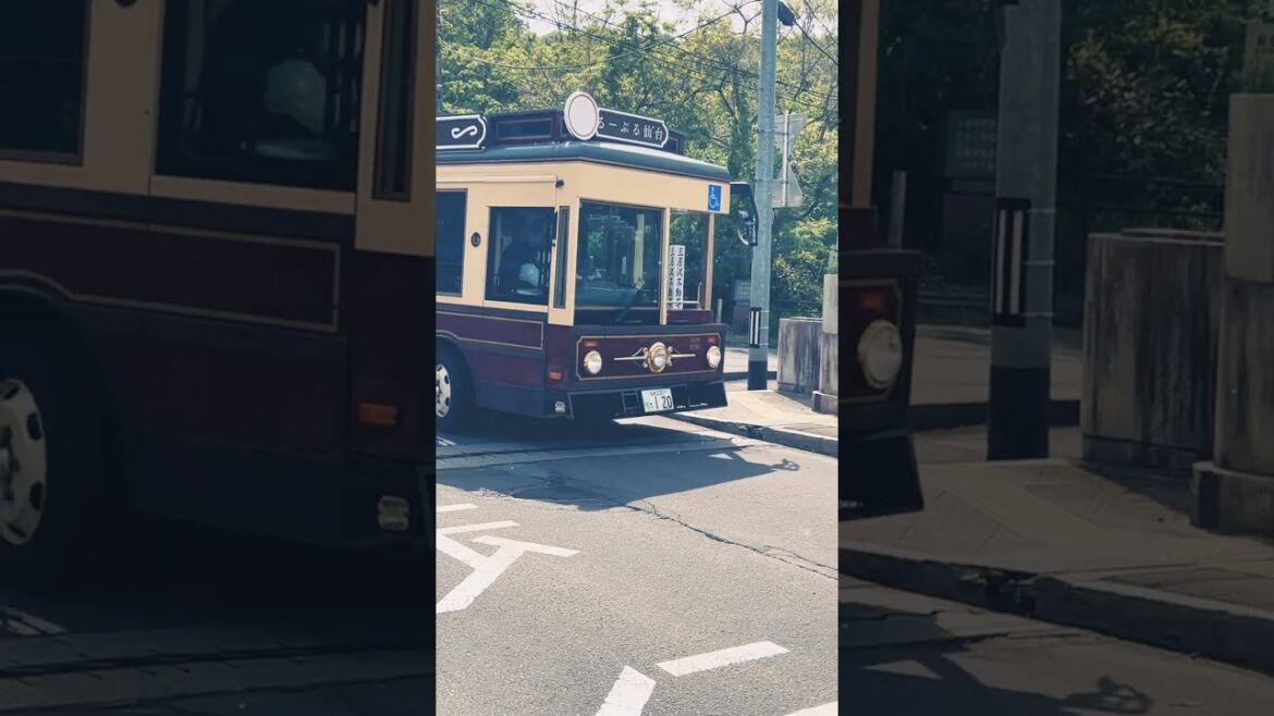 レトロかわいいるーぷる仙台#japan#東北#travel #nature#バス#レトロ#宮城県 #仙台#観光バス#travel #nature#るーぷるバス#shorts#petit bonheur