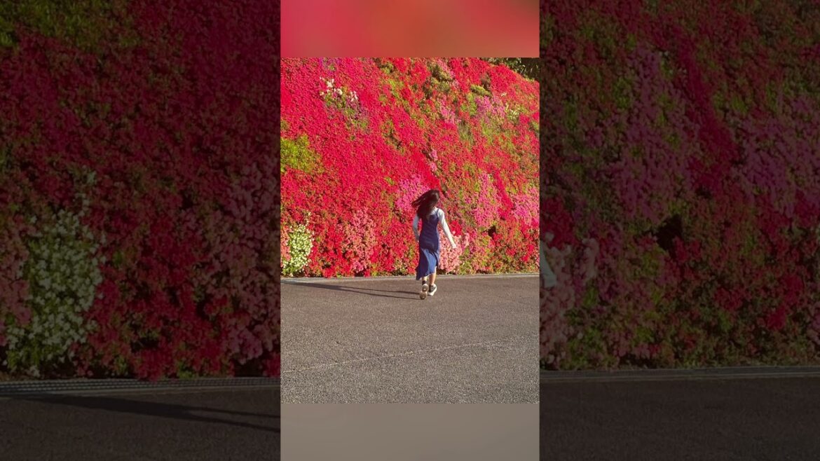 つどいの丘 #豊田市ホテル #花  #綺麗 #beautifuljapan #scenery #つつじ #春 #温泉ホテル