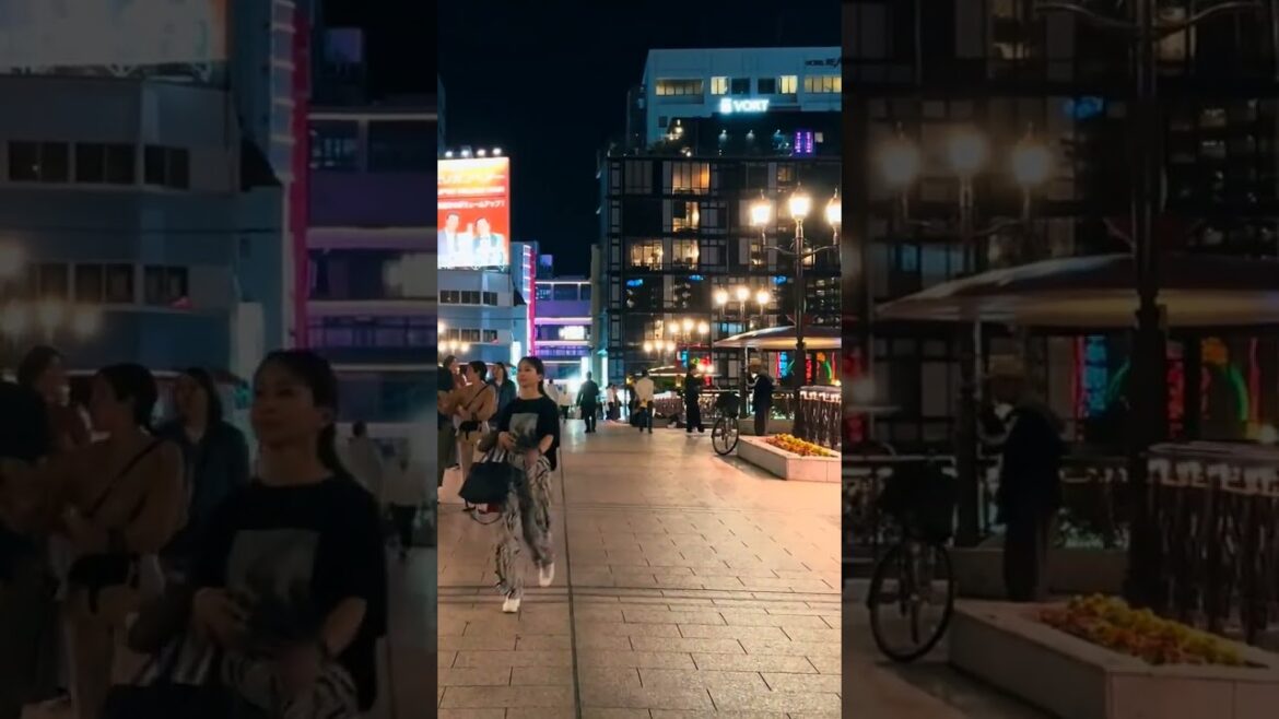 Fokouka Japan Night Life