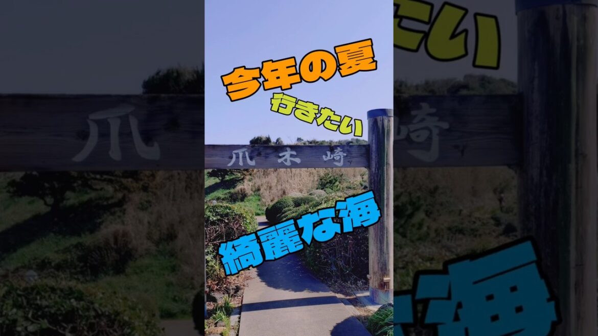 静岡県下田市須崎 池ノ段ビーチ(爪木崎) #伊豆 #伊豆観光 #青い海 #紅の豚