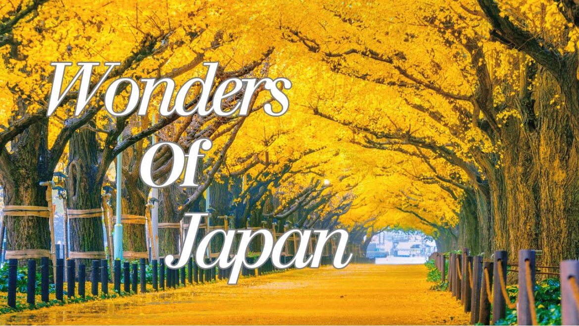 [Local Guide] Japan Spring Escapes - Travel Tips & Perfect Itinerary - Part 2 | Travel Video 4K