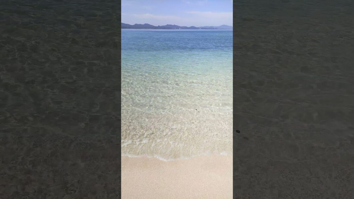 名護市民のビーチは穴場