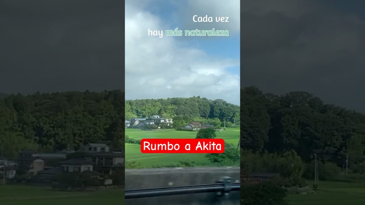 【Nueva serie】Un viaje en tren bala de Tokio al lago Tazawa: Akita, Japón #shorts