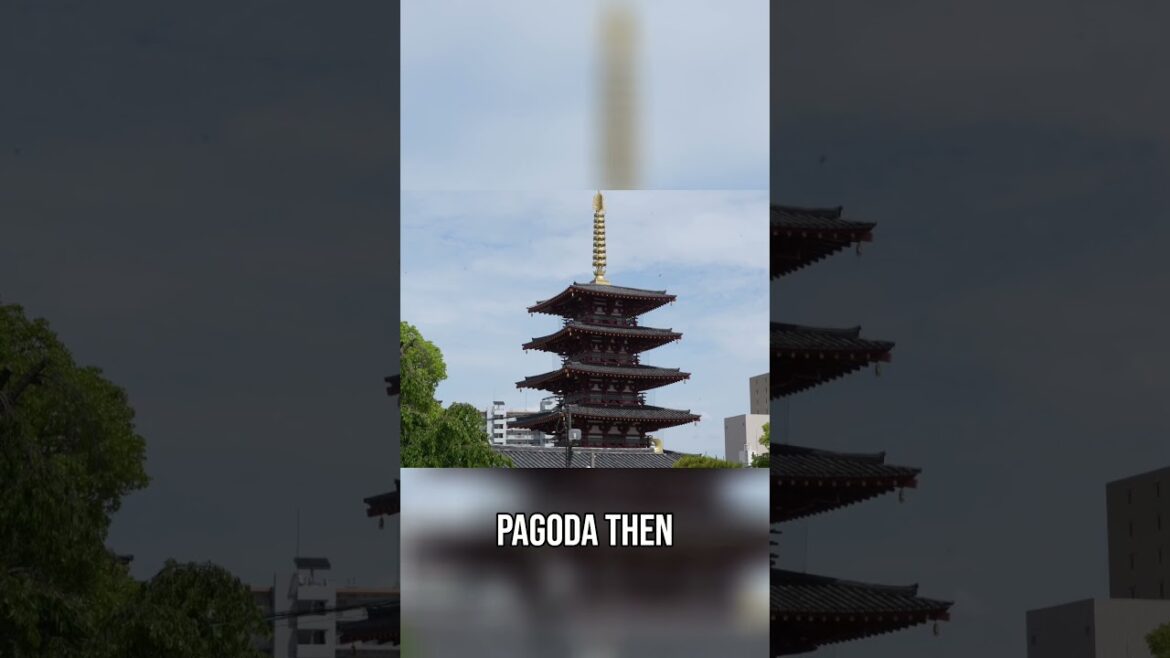 Shrine vs  Temple  Spot the Difference in Japan! Easy Guide