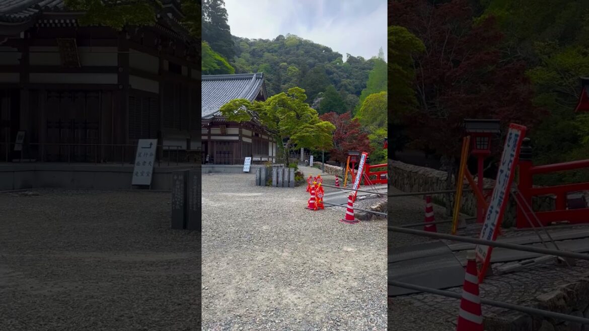 Minoh Park, Osaka. Japan 🇯🇵