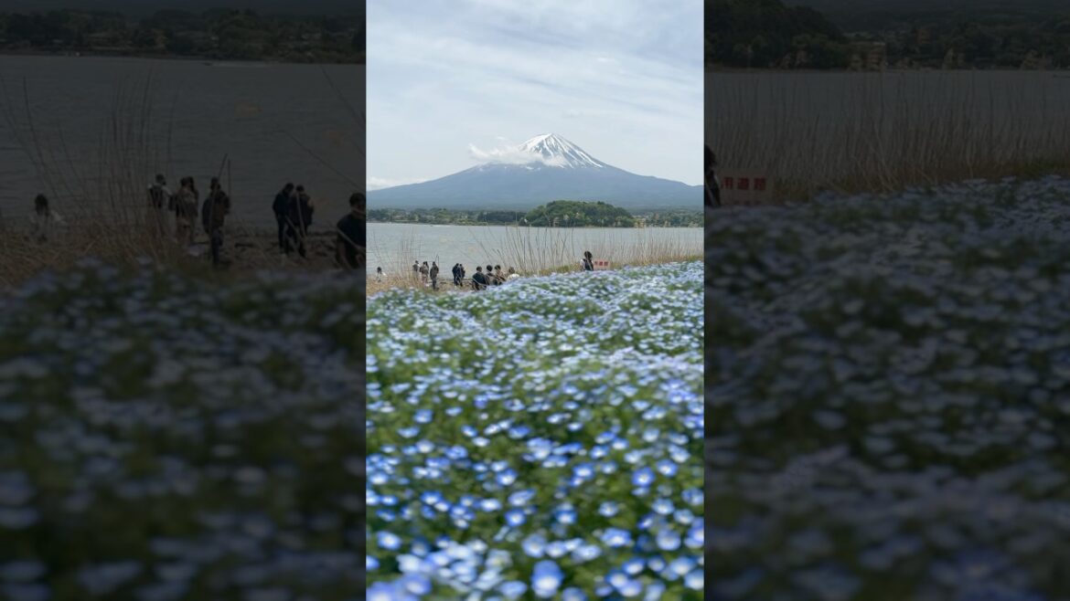 Mount Fuji Japan #fuji #japan #travel #nature