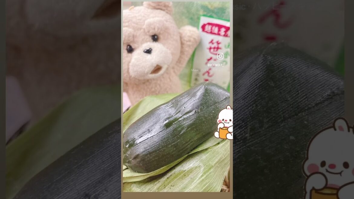 新潟　ささだんご  Sasadango Niigata local food Japan trip