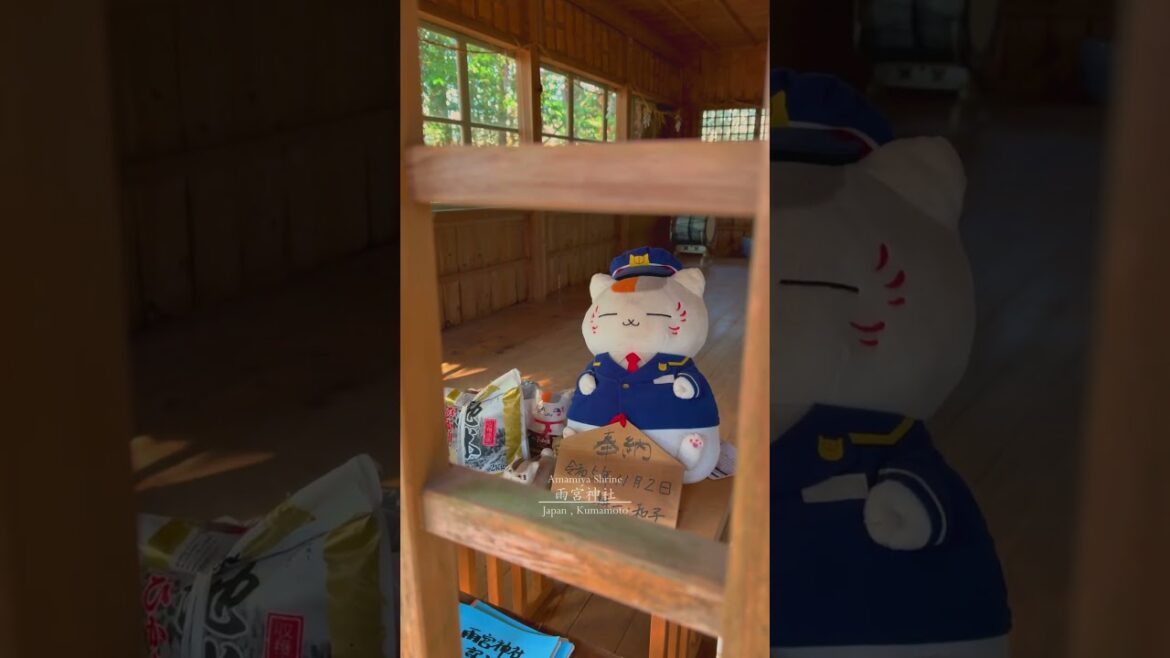 Kumamoto, Natsume Yujin Cho#kumamoto #kyushu #japantravel Kumamoto, Natsume Yujin Cho#kumamoto #kyushu #japantravel