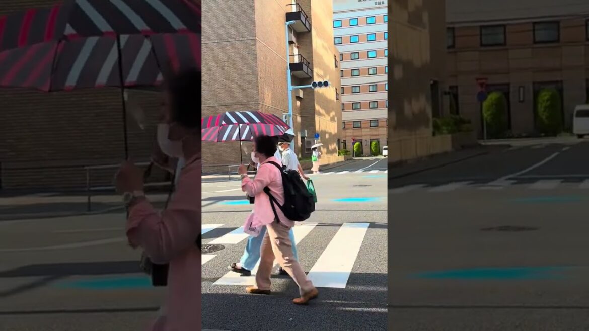 Glimpse of Fokouka City