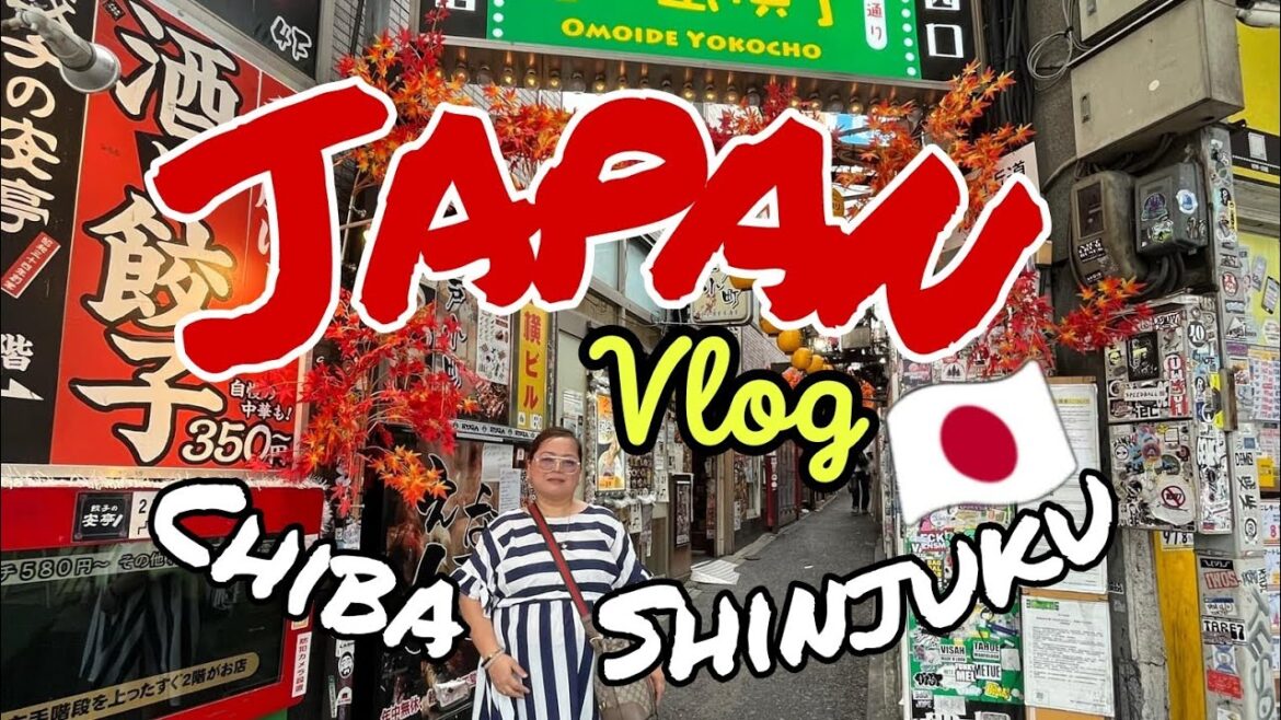 Japan Vlog Part 1 Chiba and Shinjuku
