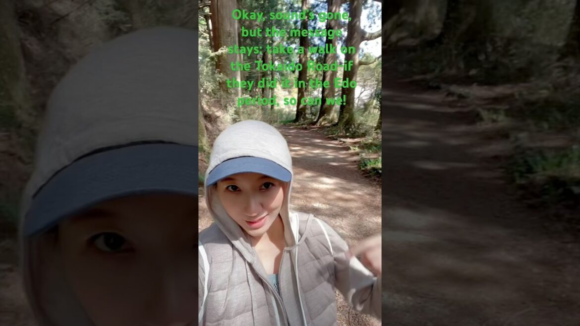 Walking the Historic Tōkaidō Road at Hakonemachi