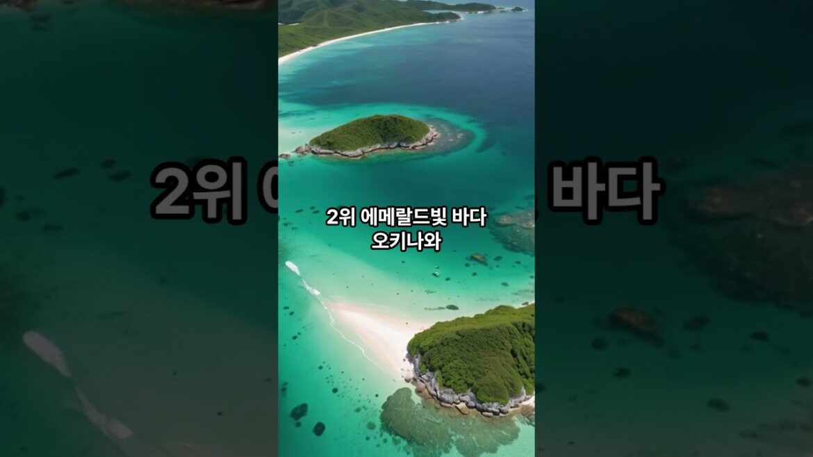 #영상 #가족여행 #여름여행 #연인 #일본여행 #휴식