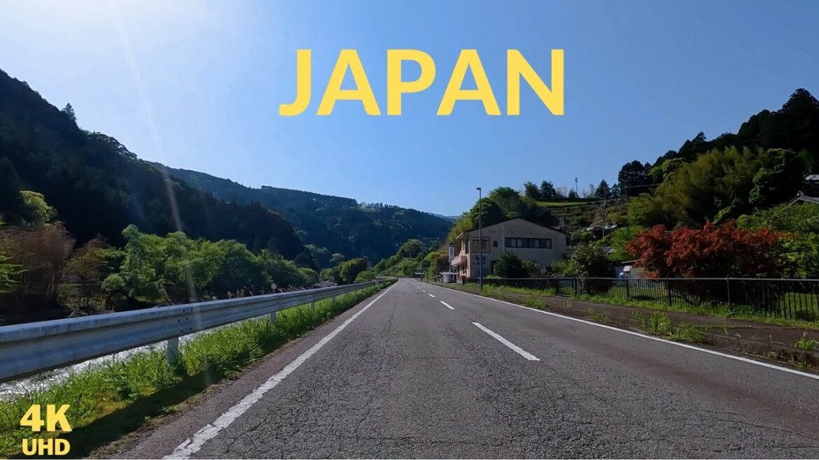Driving on a mountain forest route in Japan | Shizuoka Prefecture | 4K scenic drive 🚙
