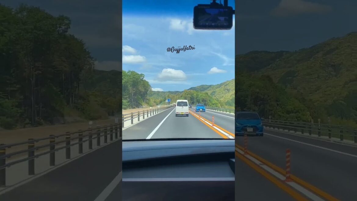 Hamamatsu to Okazaki Road Trip Japan