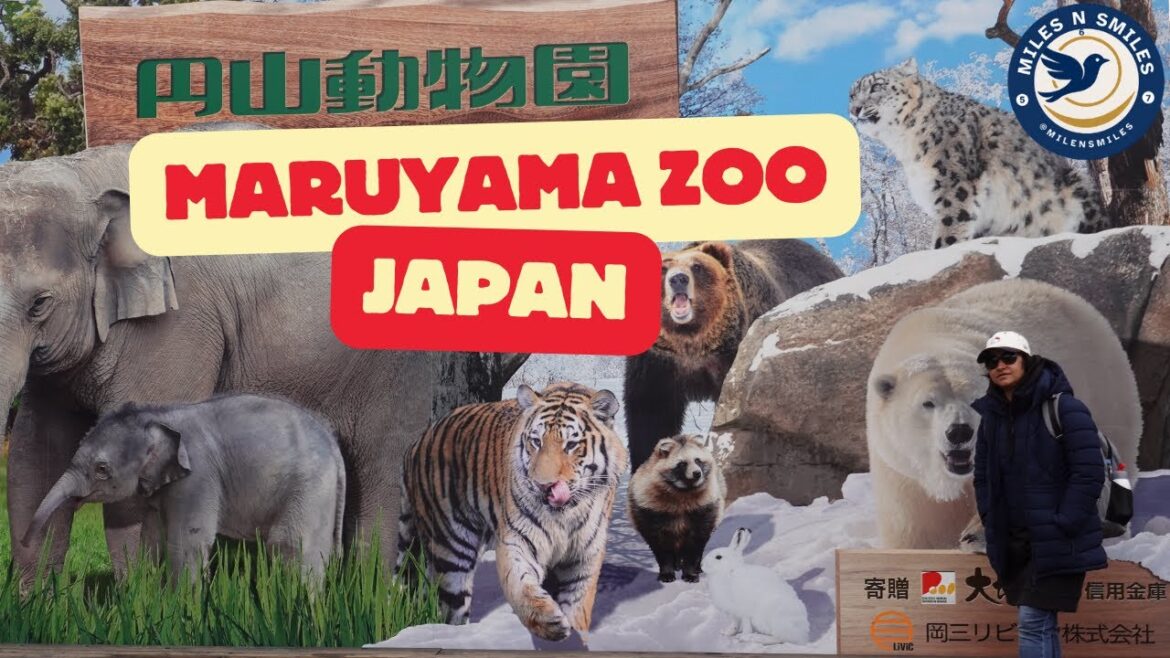 Maruyama Zoo  Sapporo Hokkaido Japan
