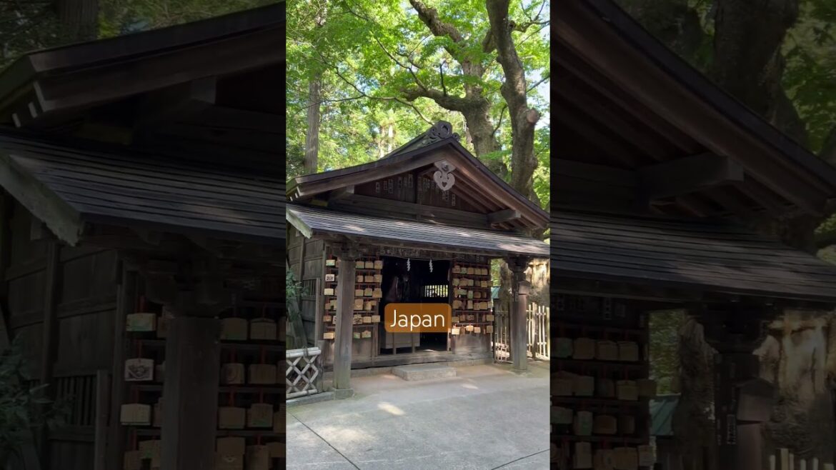 日本穂高神社参拝 長野県 ズミノ  Hotaka Jinja Shrine,  Zumino Nagano Japan ❤️ 🇯🇵