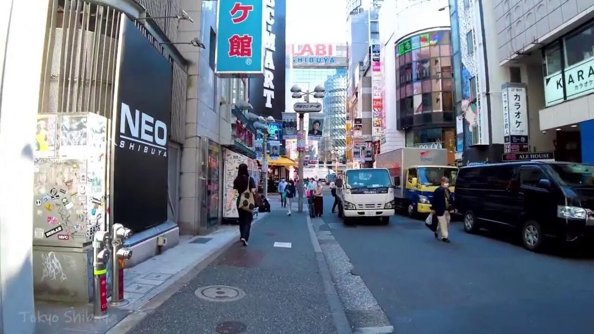 🔴Japan 24/7🐶Tokyo, Osaka, Hokkaido, etc. 🔴Japan 24/7🐶Tokyo, Osaka, Hokkaido, etc.