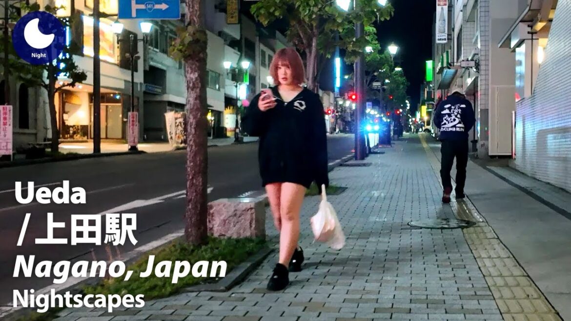 ⁴ᴷ Nagano: Ueda Station (長野県: 上田駅) – Japan Walking Tour (May, 2025) ⁴ᴷ Nagano: Ueda Station (長野県: 上田駅) - Japan Walking Tour (May, 2025)