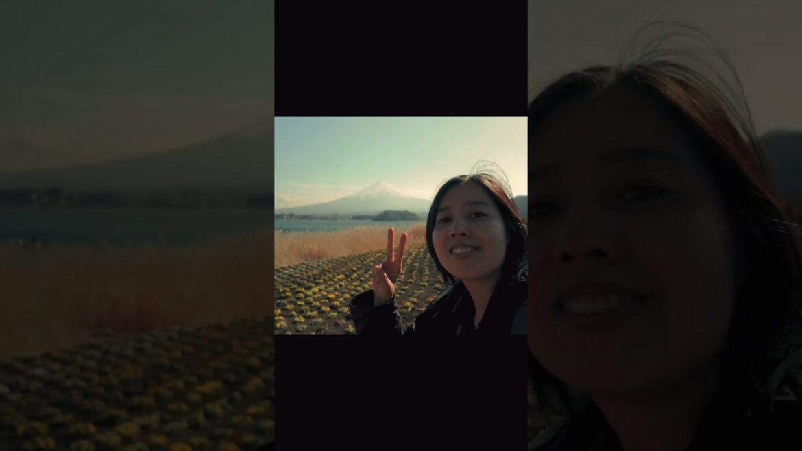 Mount Fuji Sightseeing Tour