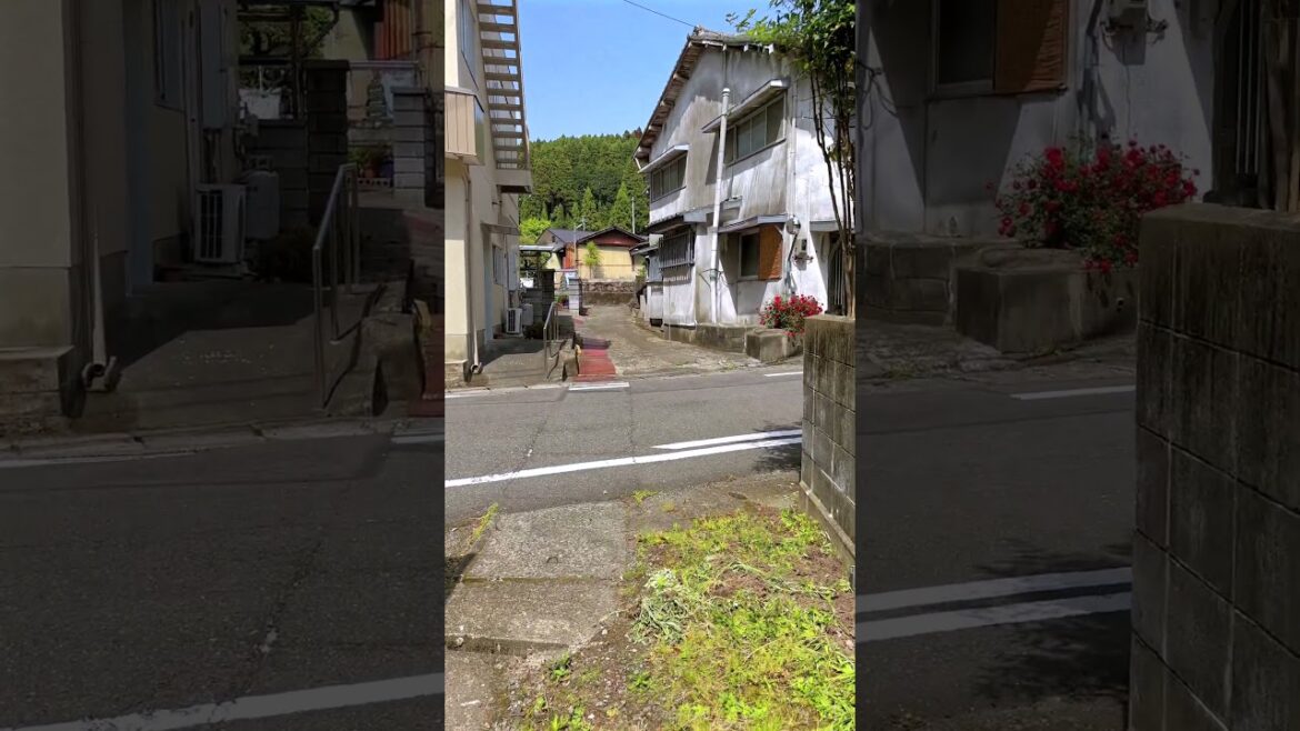 Japanese countryside: Back Alley in Nagano-cho, Minamata City, Kumamoto, Japan. #japaneselandscape