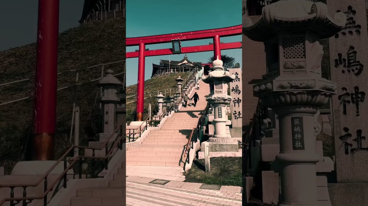 Kabushima Shrine / 蕪島神社 #travel #旅行 #visitjapan #観光 #japan #japantravel #aomori #tohoku #青森県 #青森