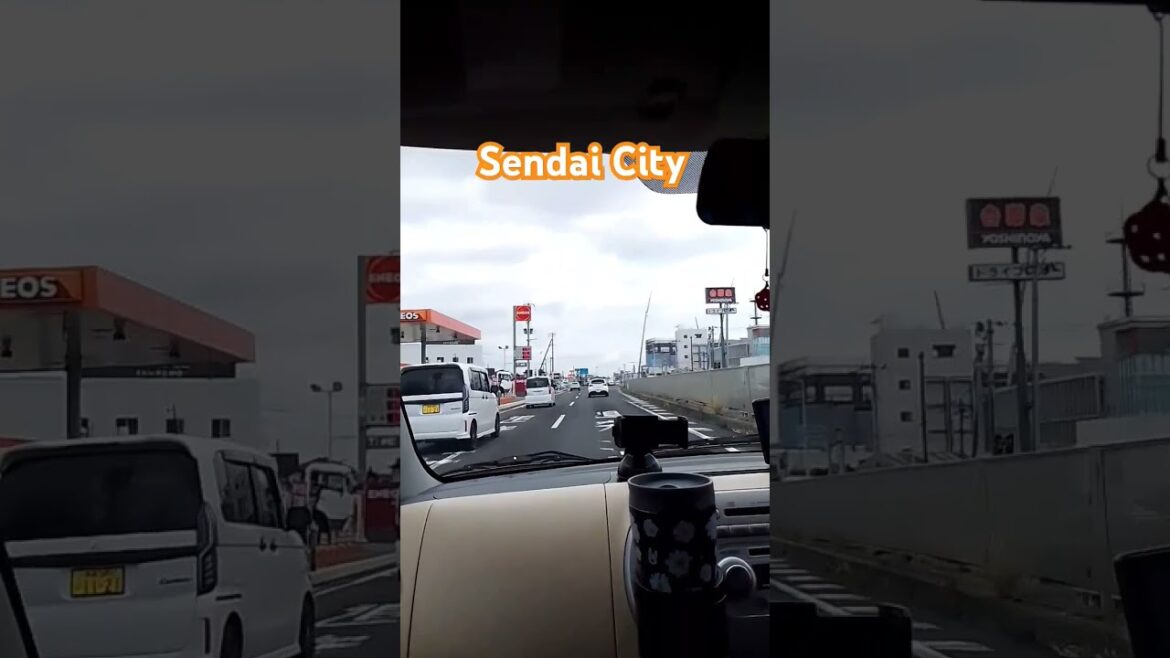 Sendai Trip #highlight #automobile #travel #car #lifeisbutadream #road #highlight