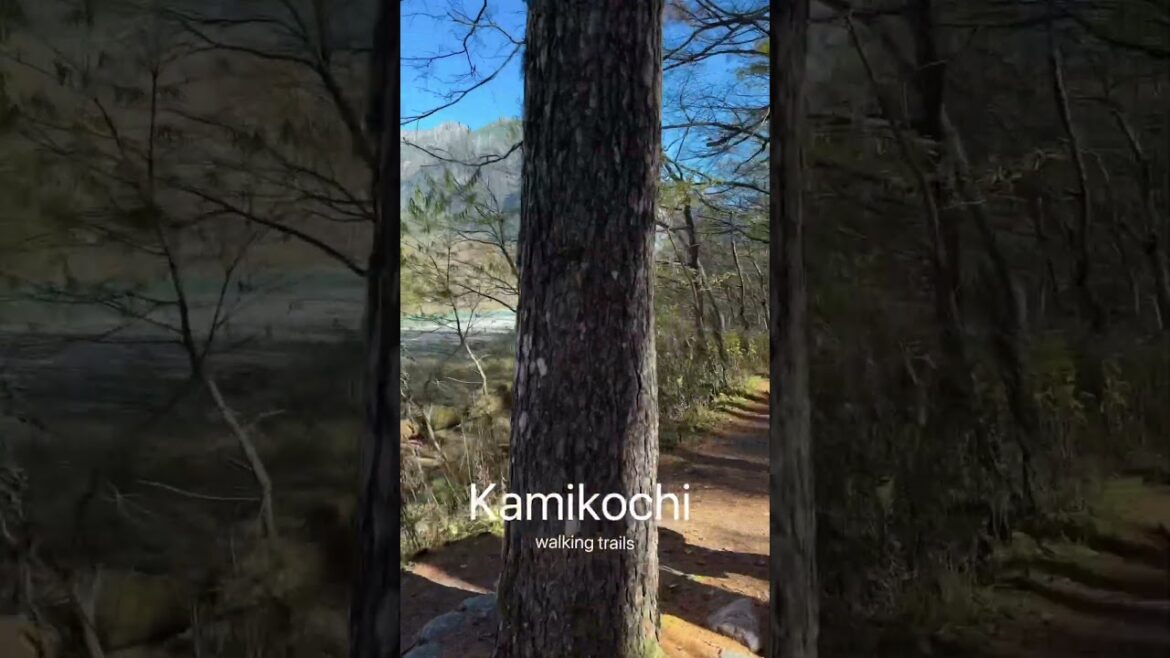 Walking trails in Kamikochi 😁#kamikochi #nagano #matsumoto #japan #onthewayjourney