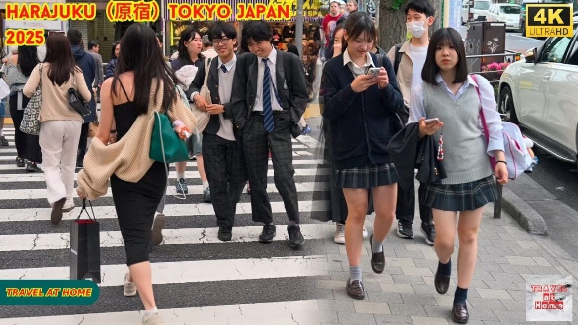 4K HDR Japan travel 2025 | Walk in Harajuku（原宿）Tokyo Japan |  Relaxing Natural City ambience