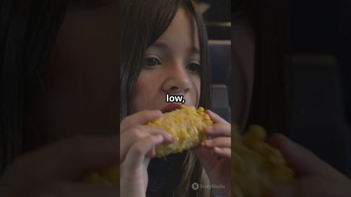 Ultimate Guide to Japanese Train Travel: What You Need to Know#JR Pass guide#Japan train travel tips