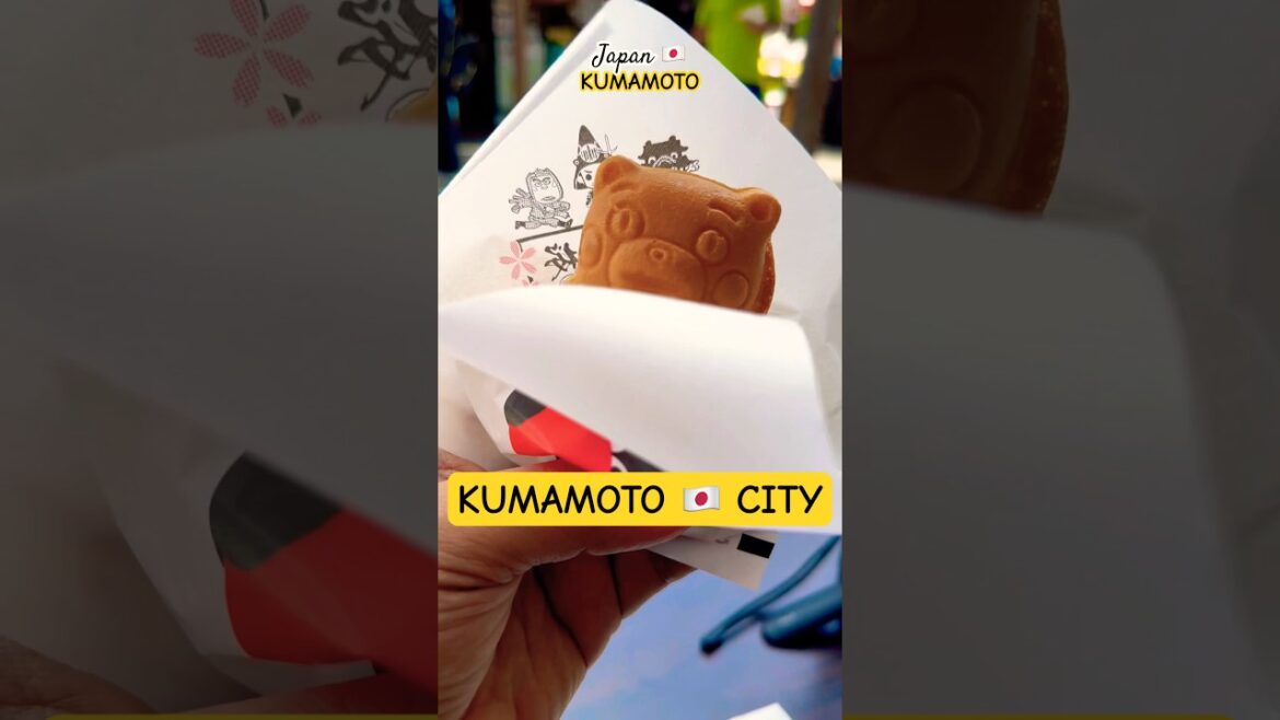 ONE DAY, ONE PASS, ENDLESS ADVENTURES! | KUMAMOTO 🇯🇵 JAPAN ONE DAY, ONE PASS, ENDLESS ADVENTURES! | KUMAMOTO 🇯🇵 JAPAN